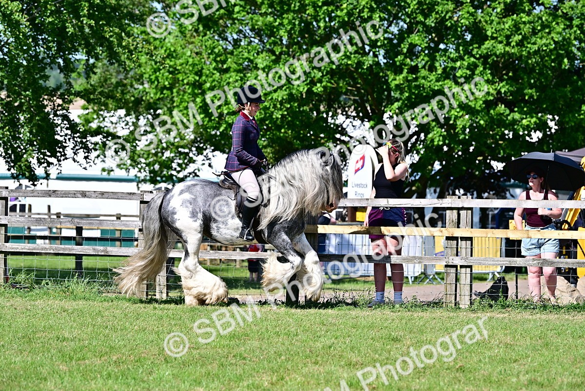 SBM_19357 - Class 101-102 - BSPS LIHS Performance Coloured Horse/Pony