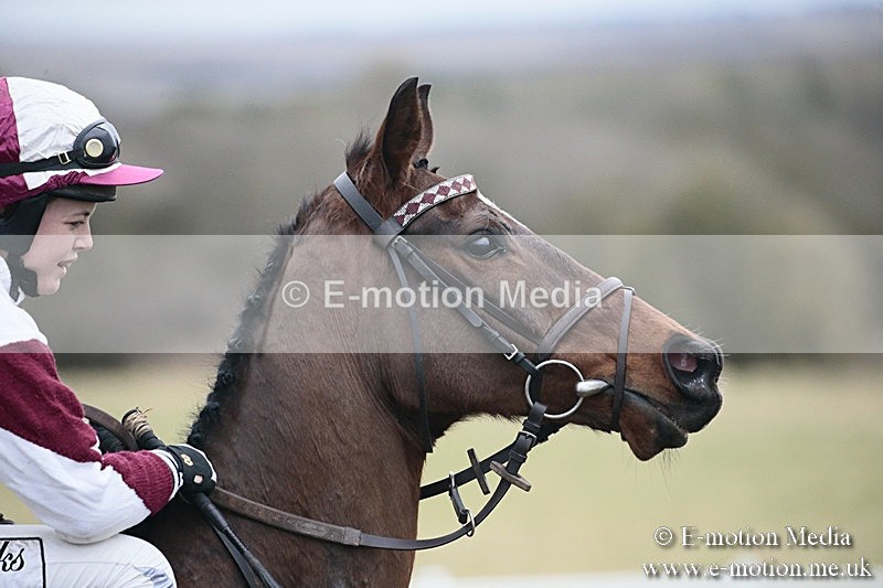 PtP 180218 716 - Combined Services Point-to-Point Larkhill 18/02/18