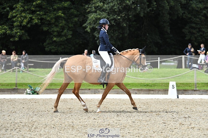 230812-123831-04165 - Cls 6 Novice Silver 12.10 to End