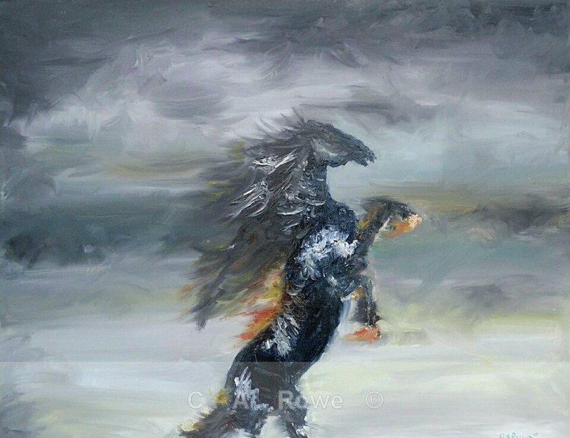 Pegasus - Gallery 1