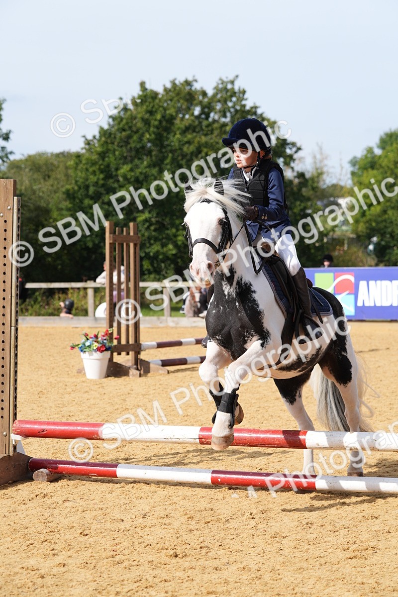 SBM_68401 - J3 - Mini Tour Junior Pony 40cm Championship