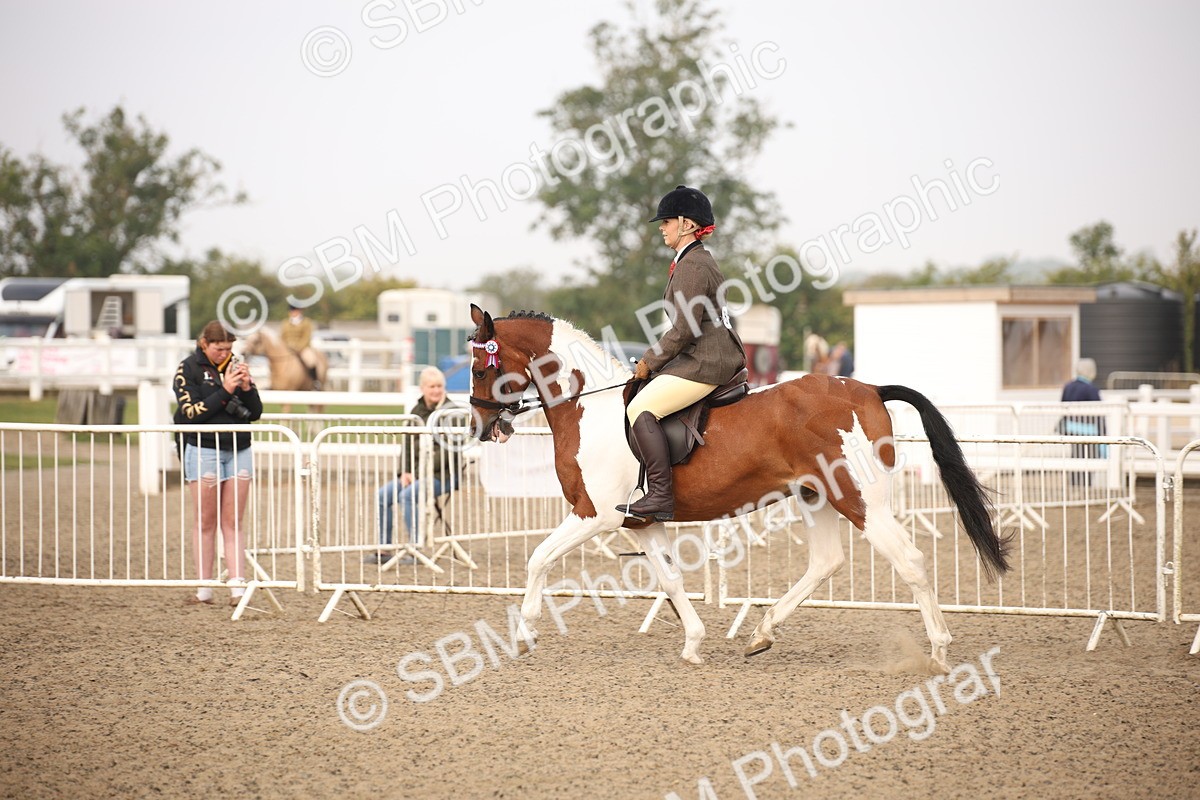 SBM_09700 - Class 401 Riding Club Pony