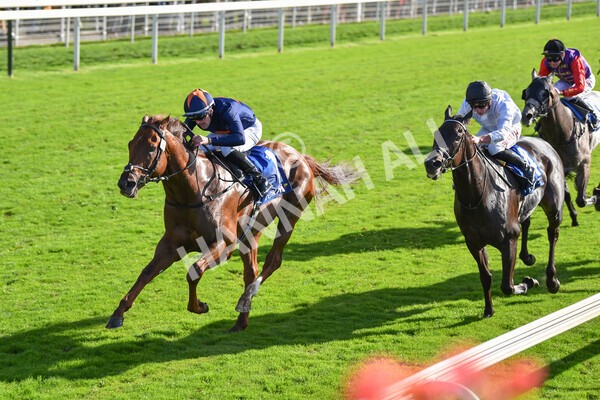 yr08102022r3-45 - Race 3 2.40pm The Coral 'Beaten-by-a-Length' Free Bet Handicap