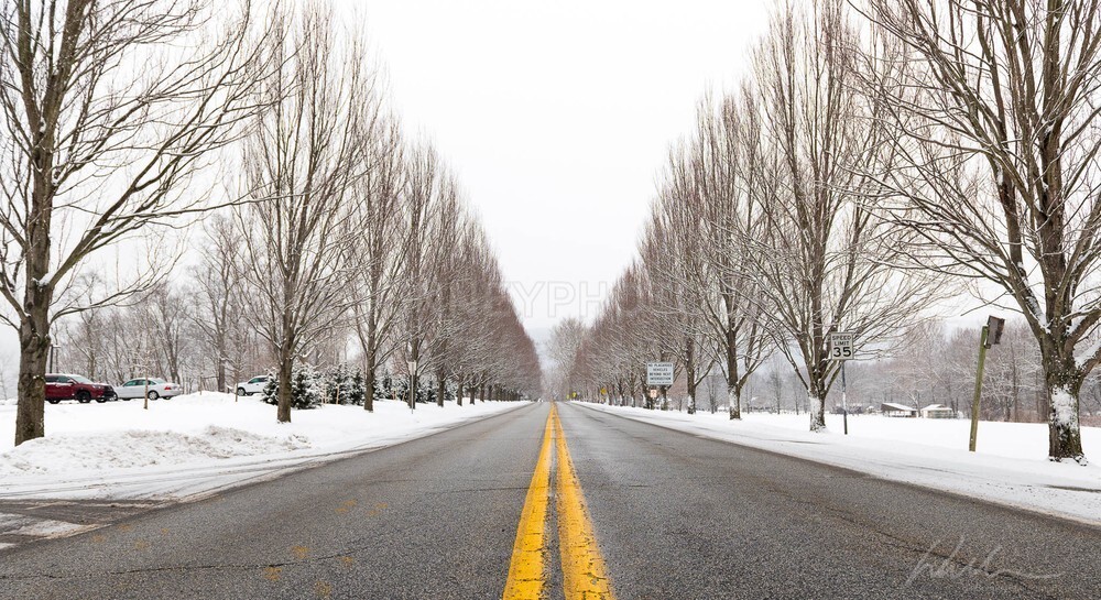 DSC_8183 - Roads