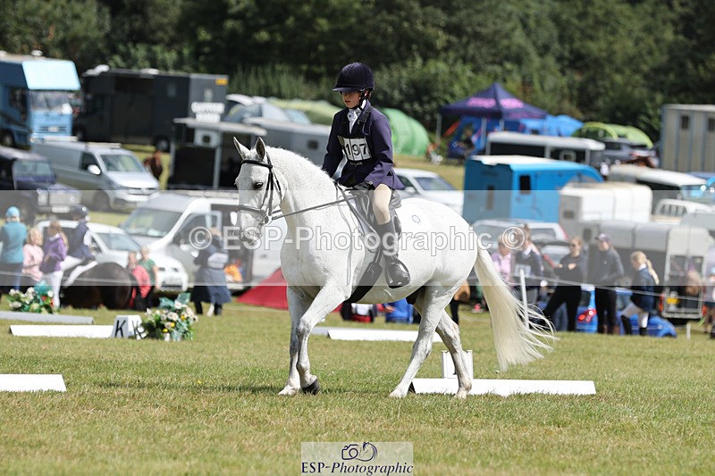 240824X-130151-27209 - D80 Section G and H 12.00 to 13.30