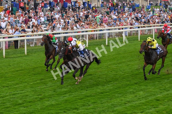 100923-Race 5-Commanche Falls-0883 - Race 5 3.50pm BetGoodwin Garrowby Stakes