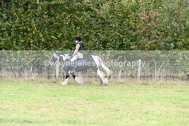 WJ6_0812 - Camera 2 Line 1