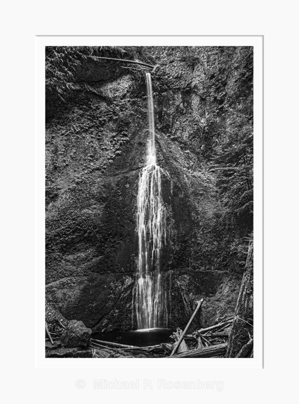 Falls and Fallen, Marymere Falls, WA (2014/D00579) - CALIFORNIA, OREGON, AND WASHINGTON STATES