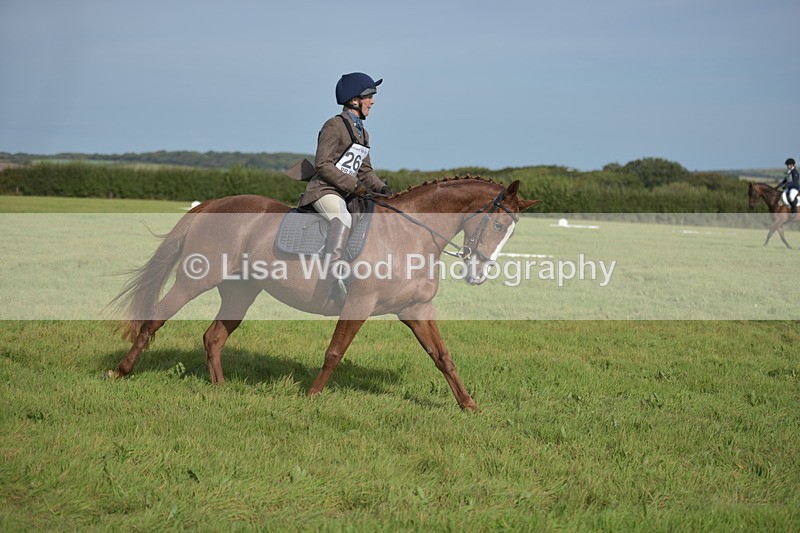 RAY_7868 - Class 2B: Trekenning Open: Dressage