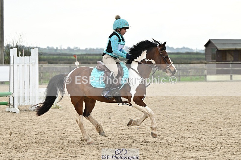241110-140033-01003 - 60-65cm Arena Eventing