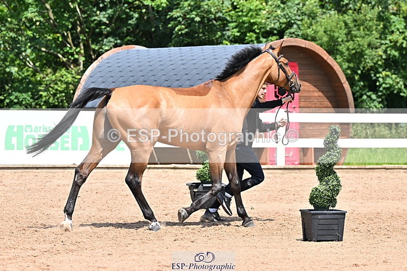 240718A-105311-01676 - Trot Up 1pm to 2pm