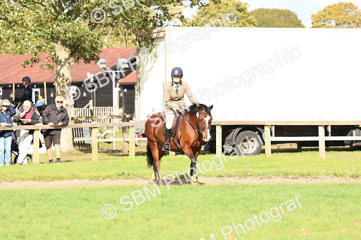 SBM_47847 - S28 - Veteran Ridden