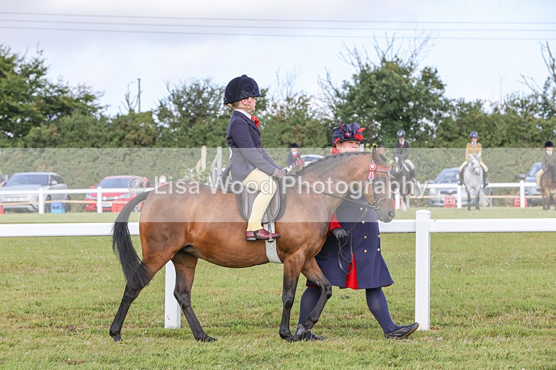 1X9A3542 - Class 29: Lead Rein SP/SHP