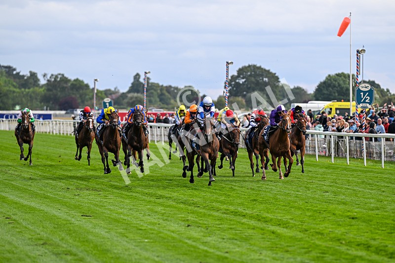 210826-Race 6-Benjamin Hornigold-7135 - Race 6 16.45pm British Stallion Studs EBF Convivial Maiden Stakes