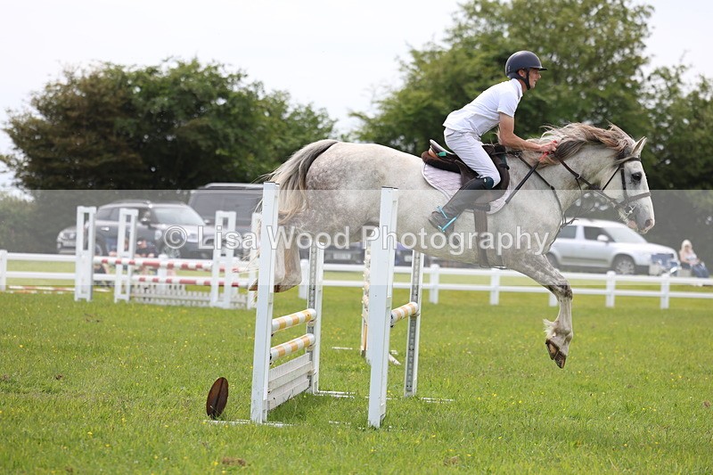 3E7A1636 - Class 13: Senior British Novice/90cm open