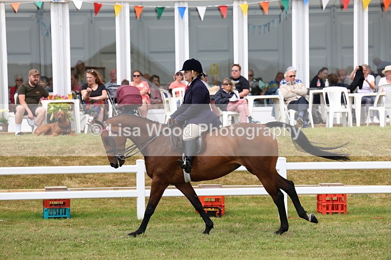 3E7A0939 - Class 8: Open Riding Horse/Hack