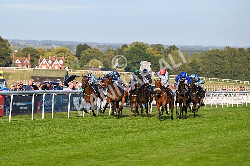 220926-Race 8-Horwich-5414 - Race 8 5.35pm End Of Season Handicap