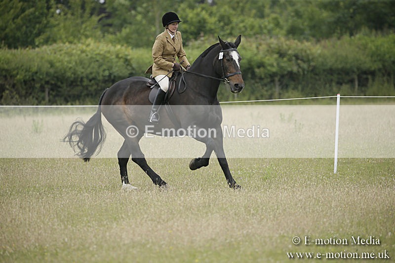 B230619-0297 - Bourne Valley Riding Club Summer Show 23/06/19