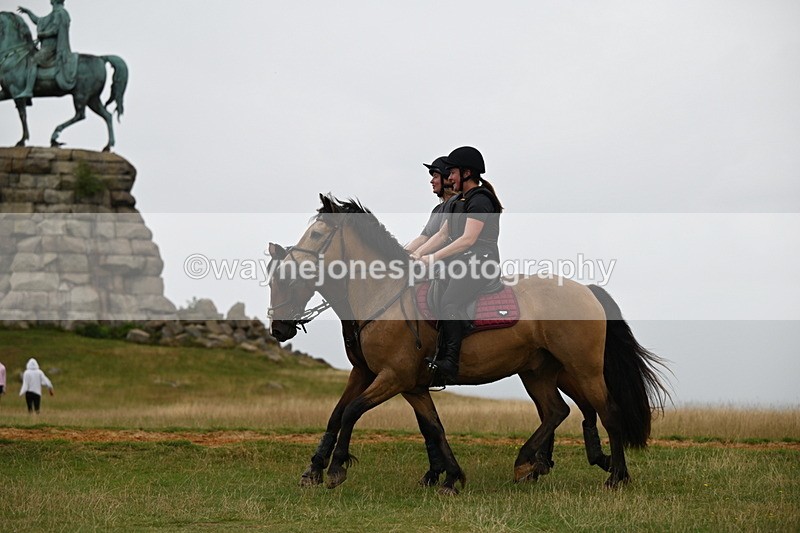 DSC_5736 - Time at Statue 11:46 to 12:16