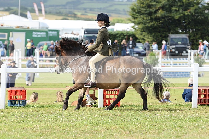 JPP_0781 - Class 16: Cornish Combination Young Rider