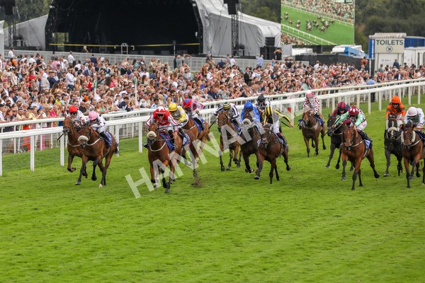 270724-Race 1-Night On Earth-4597 - Race 1 2.05pm Sky Bet 'Jump Jockeys' Nunthorpe' Handicap