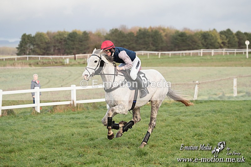 PtP 011224 374 - Hursley Hambledon Point-to-Point Larkhill 01/12/24