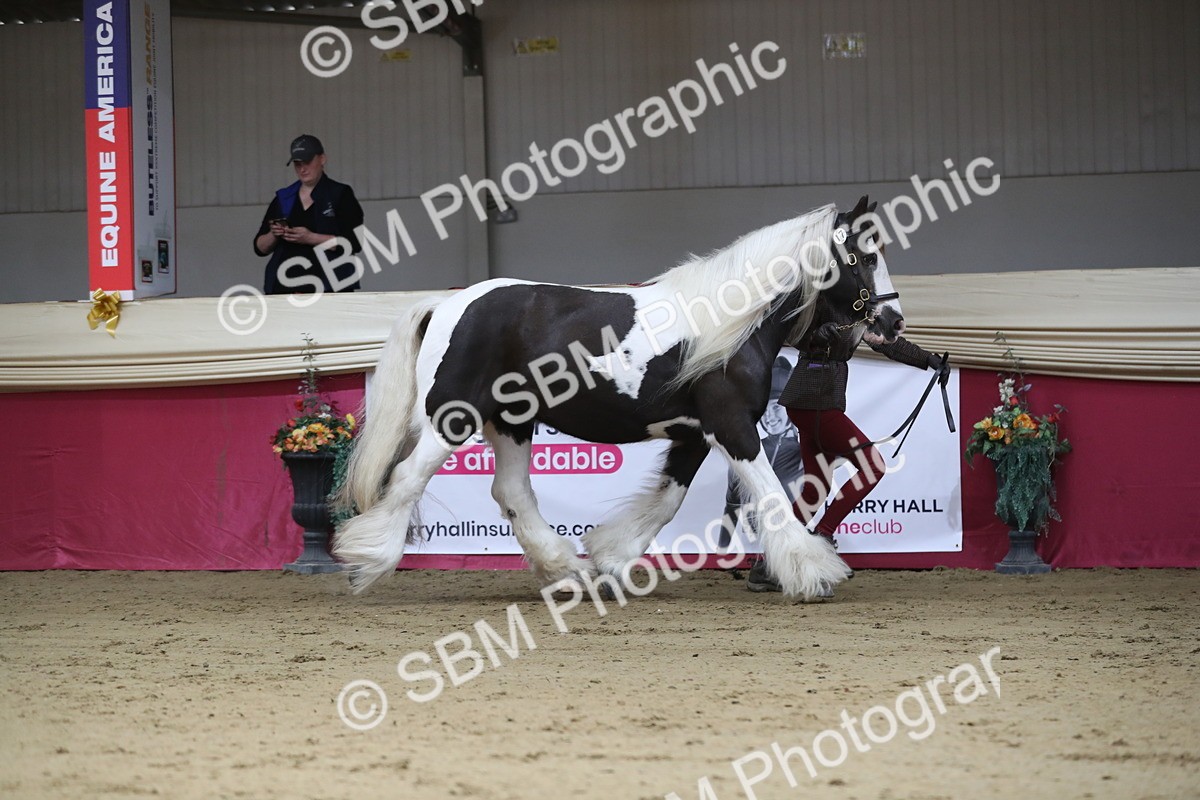 SBM_01316 - Class 3a Area IH Pre Vet