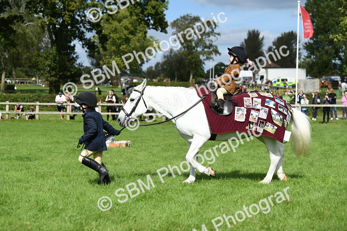 SBM_46787 - S12 - Family Horse & Pony