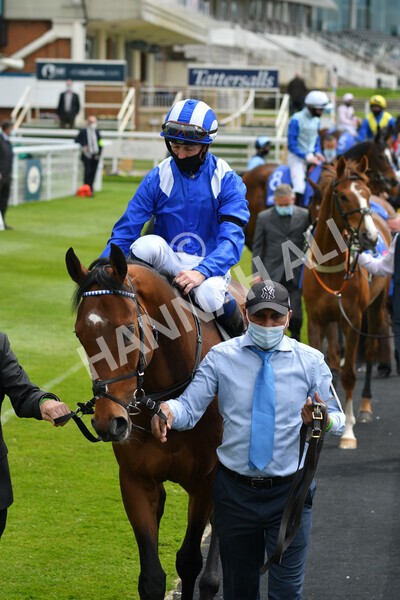 yr12052021r1-21 - Race 1 1.40pm Sky Bet Race to the Ebor Jorvik Stakes