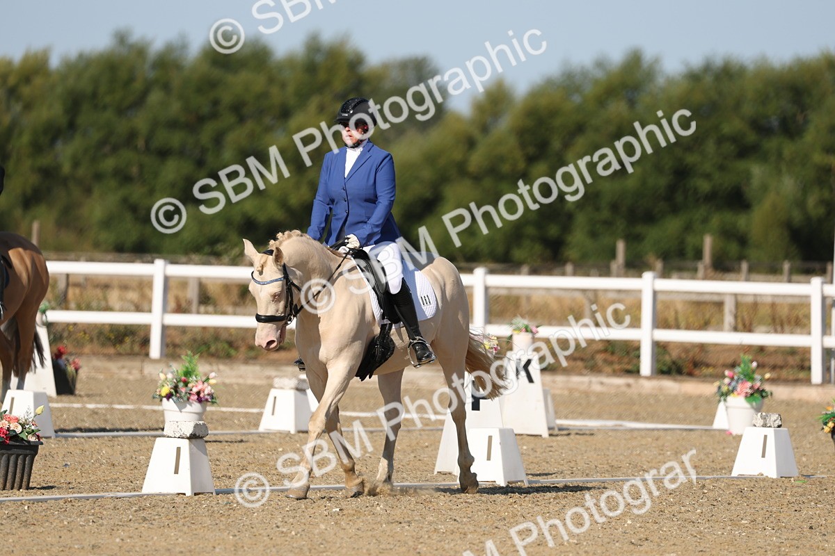 SBM_012696 - Class 1 - P5 Bronze 9.00.10.12