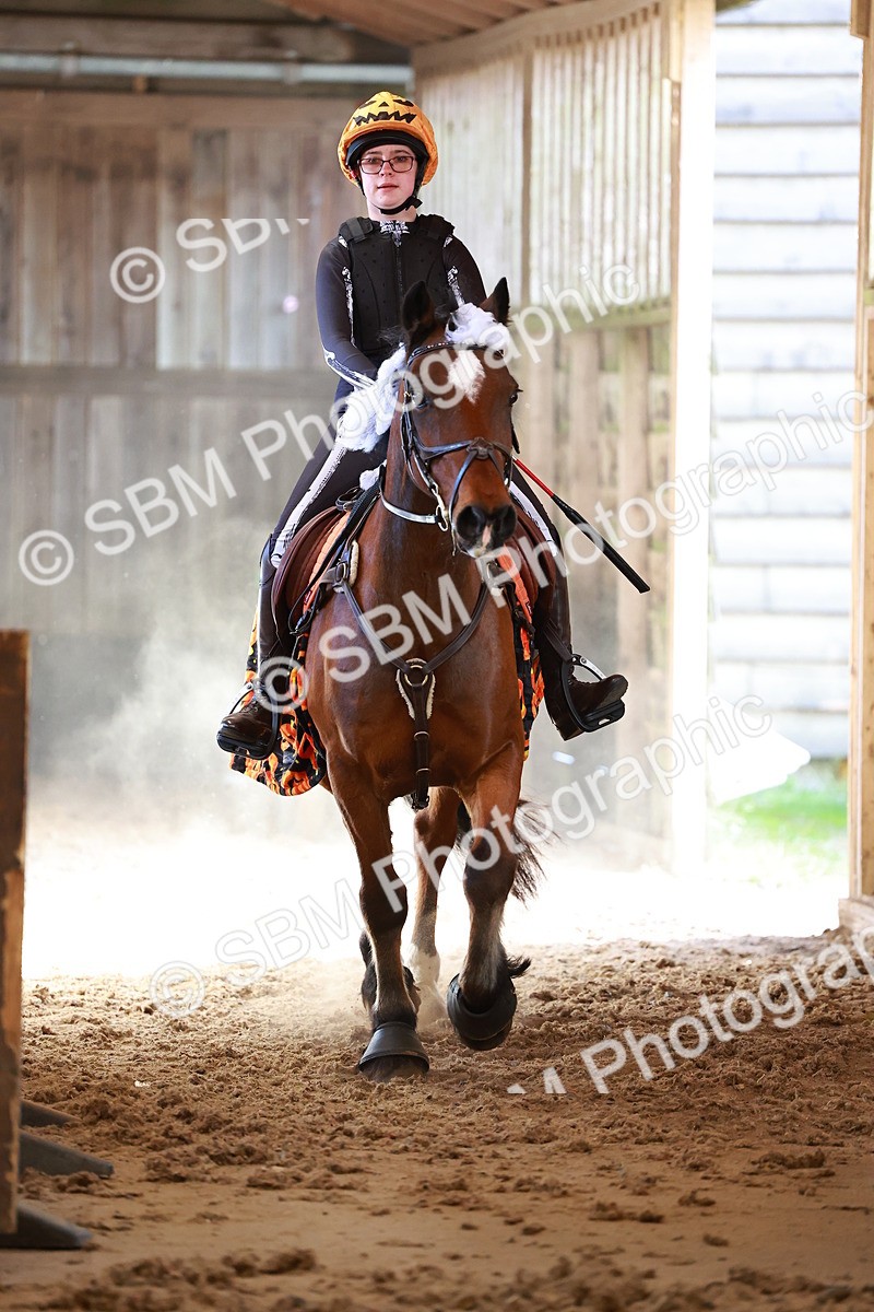 SBM_001064 - Class 2 - 50cm