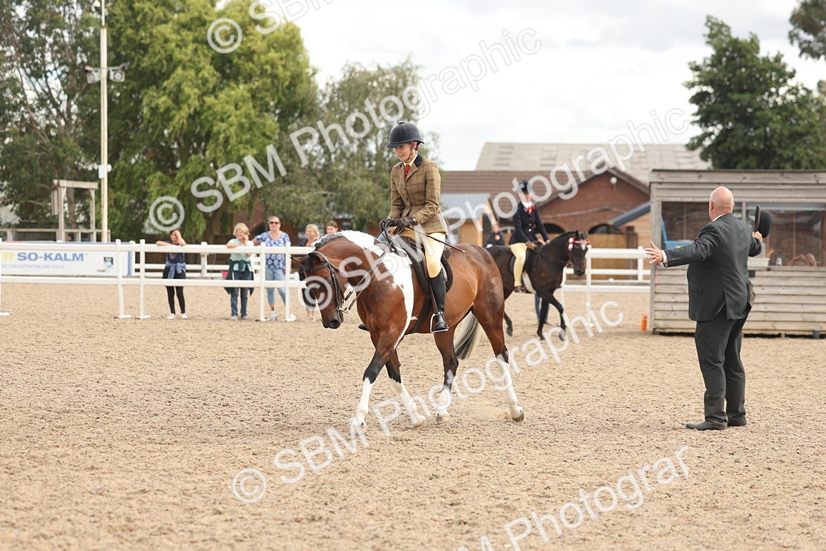 SBM_16000 - Class 311 - Ridden Show pony-Show hunter Pony