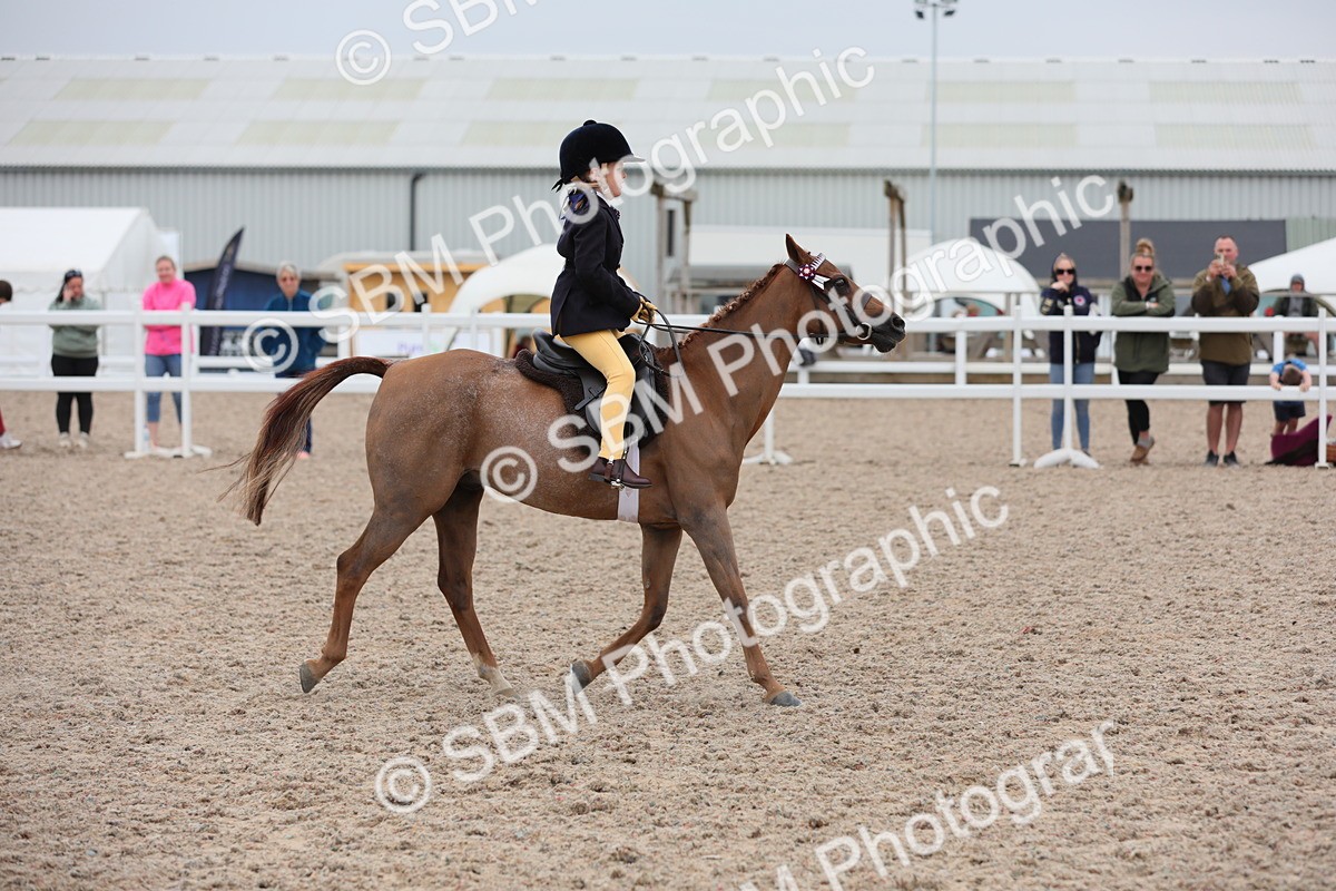 SBM_18128 - Class 316 Best Pony/Rider Combination
