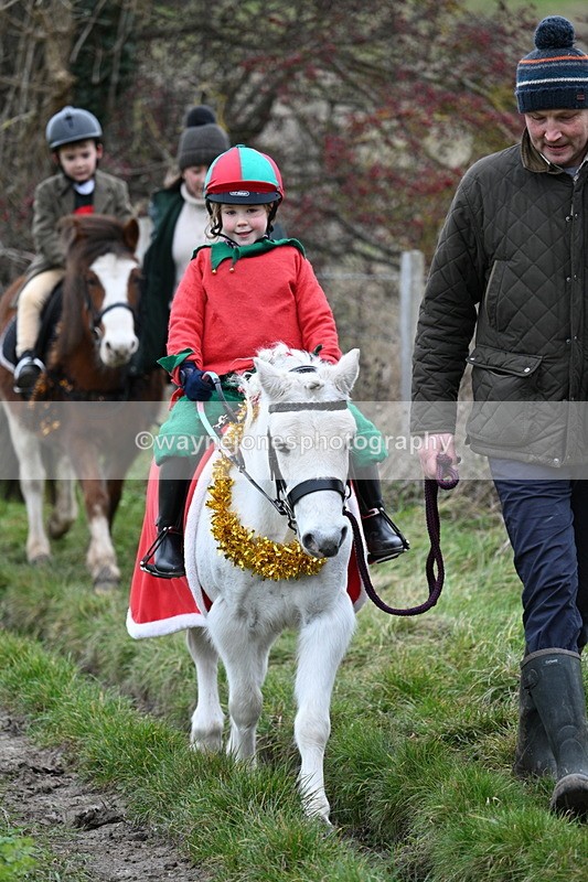 WJ7_0964 - First Seen