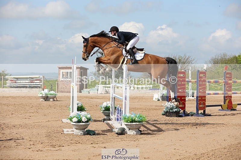 250427-110636-15803 - Cls 36 Young Horse 7yr old