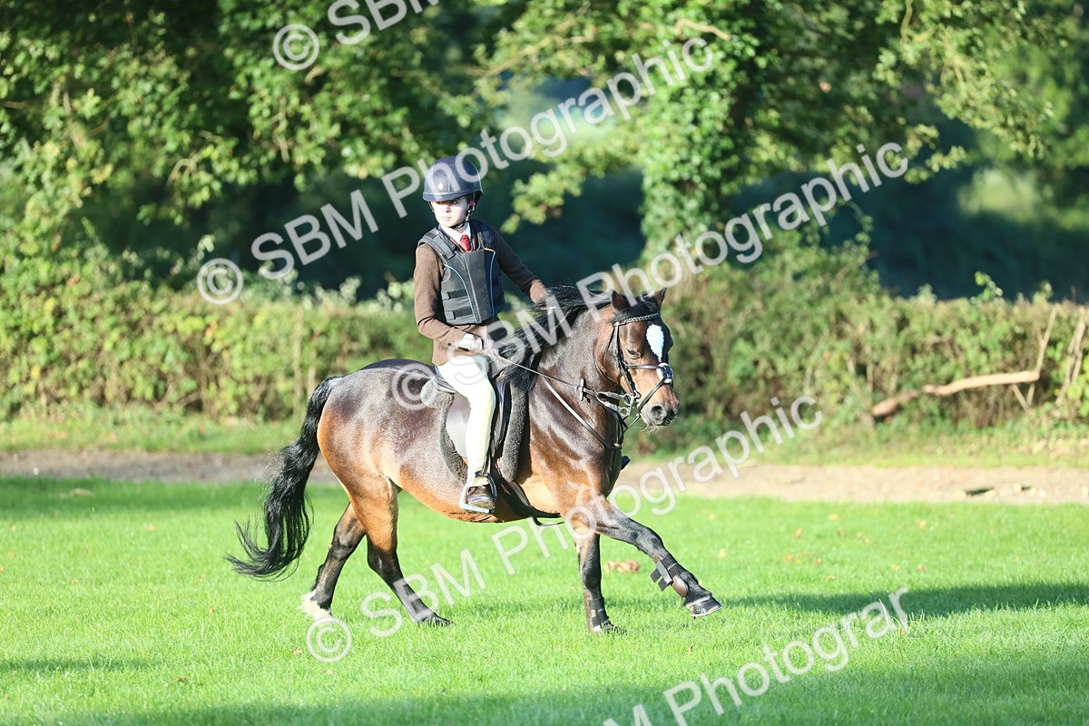 SBM_37296 - S29 - Novice & Newcomers Working Hunter Pony