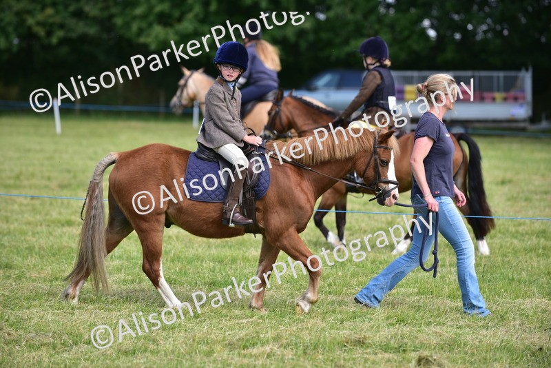 20260614-1123 - Class 11a - Lead Rein Pony (Unplaited)