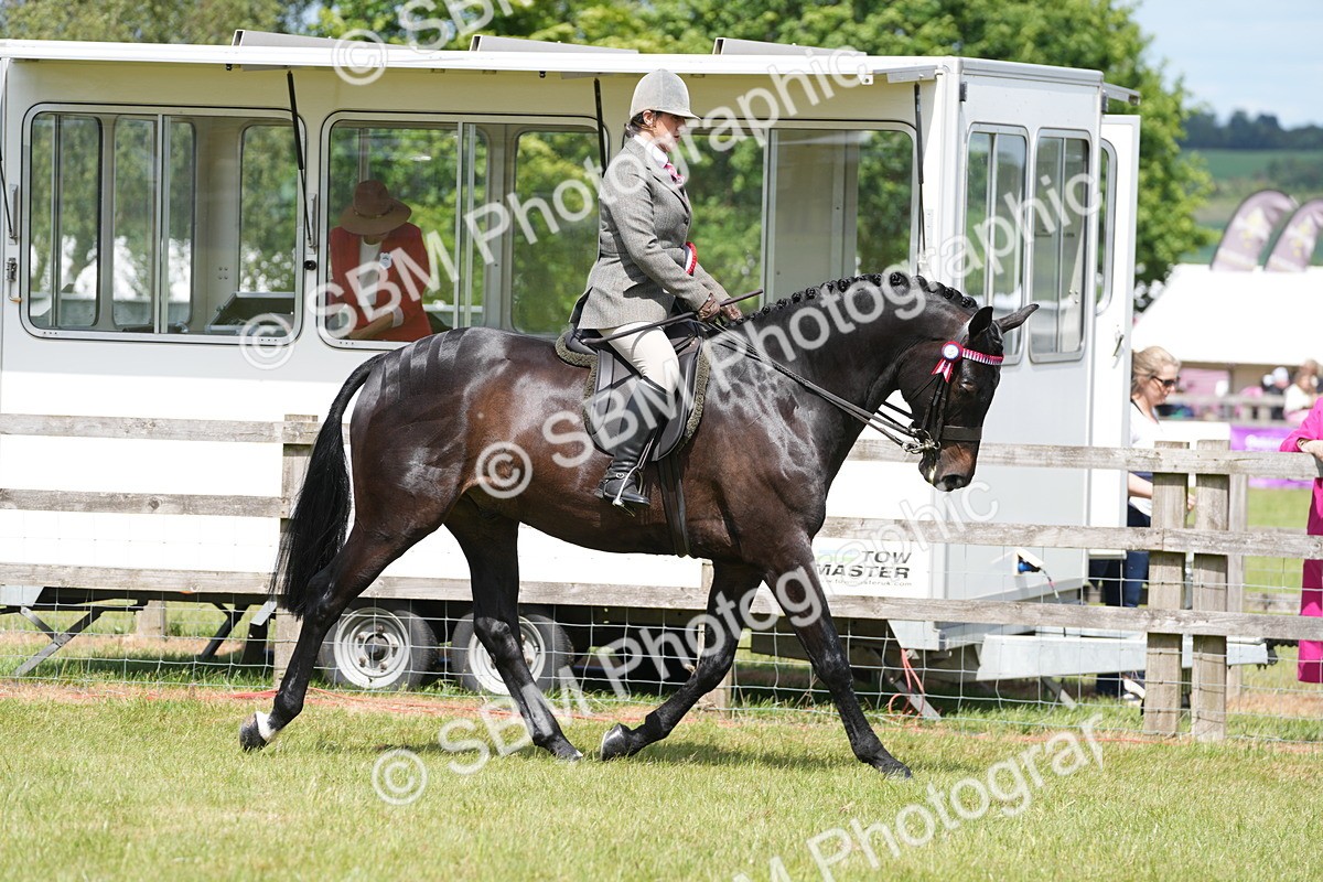 SBM_16283 - Class 105-106 - RIHS Riding Horses