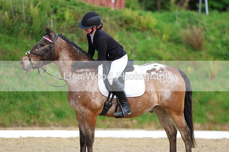 3E7A3620 - Class 2: INTRO B- INTRO 3 2024