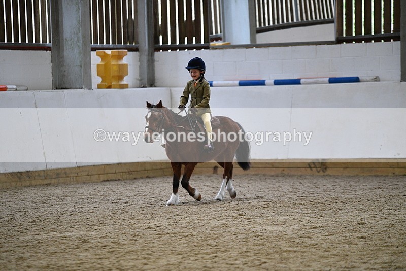 WJ5_6997 - Class 10 Childs Pony