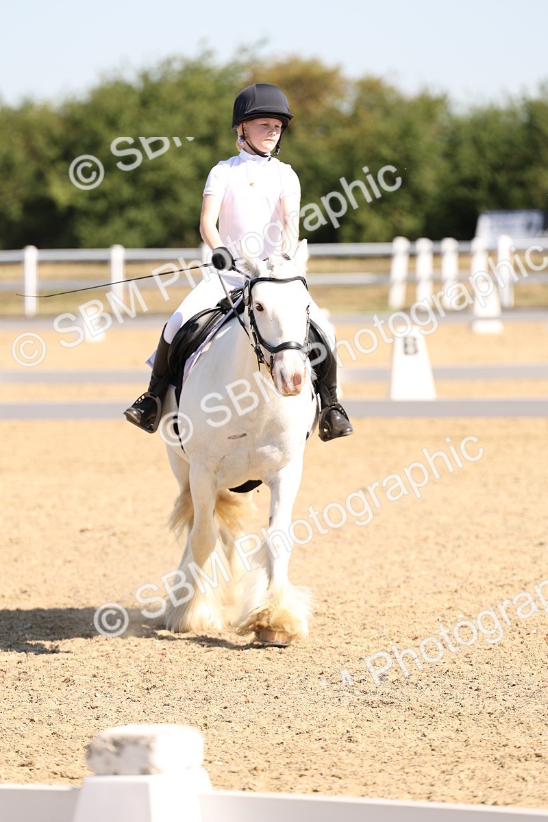 SBM_001018 - Intro 2