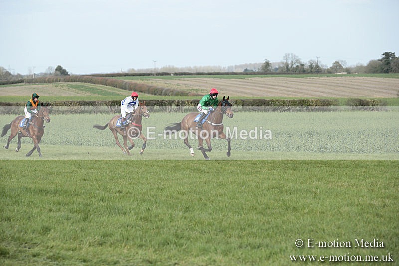 PtP 230319 332 - VWH Hunt Siddington Point-to-Point Racing 23/03/19
