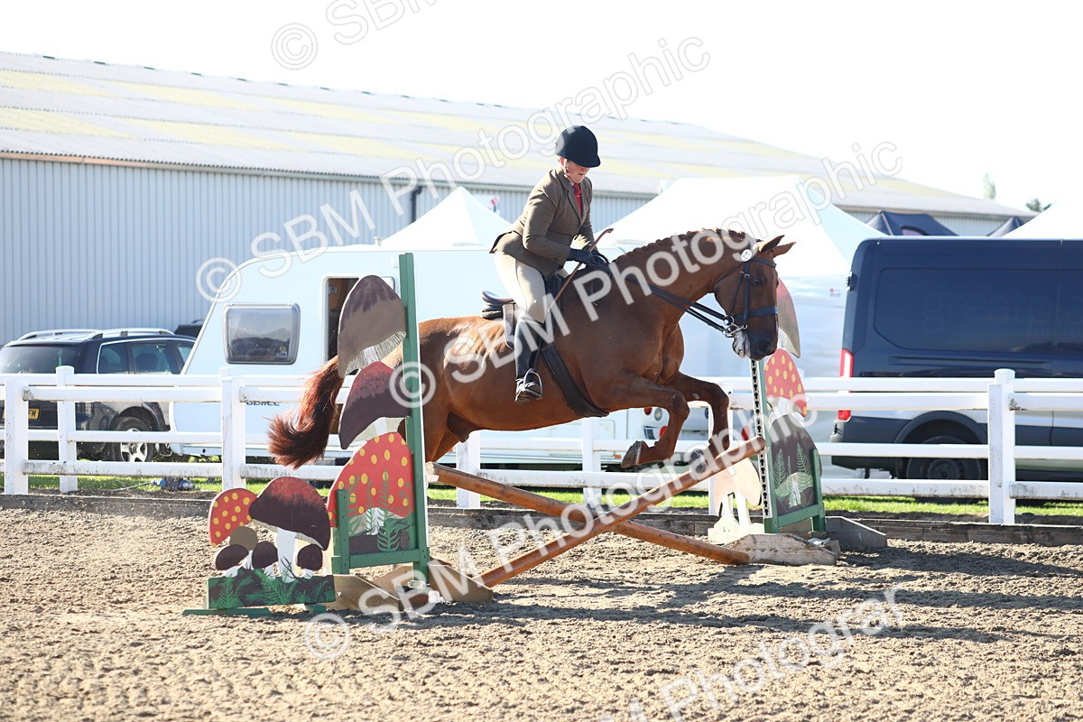SBM_08574 - Class 502 - Riding Club Horse