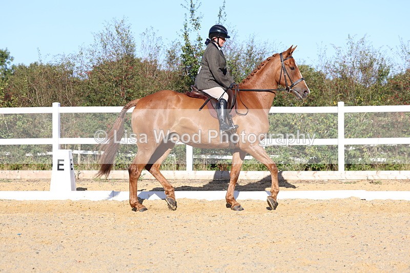 3E7A5169 - Class 7: Novice Ridden Hunter/Hack/RH/Cob