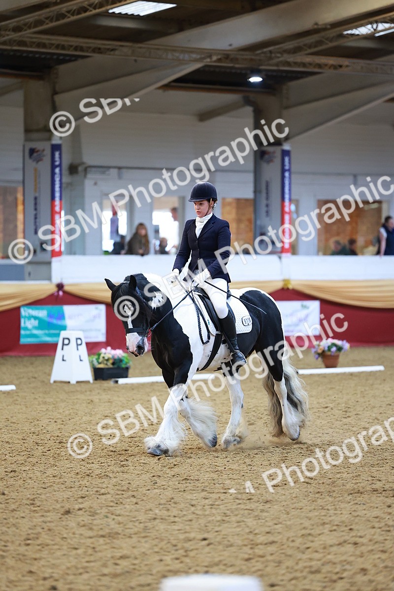 SBM_06478 - Class 61 - Dressage to Music