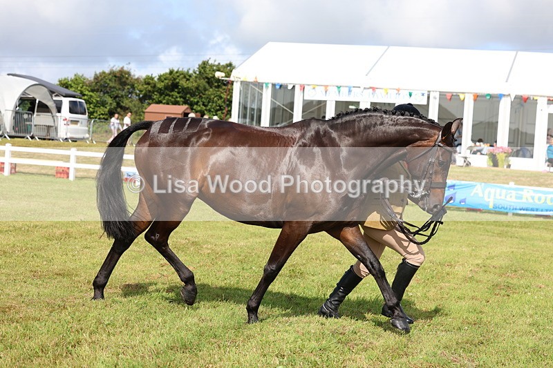 3E7A9163 - Class 3: Rising Star S/L Hunter