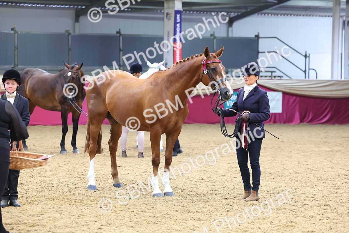 SBM_21191 - Class 902 - Supreme Final IH Veteran