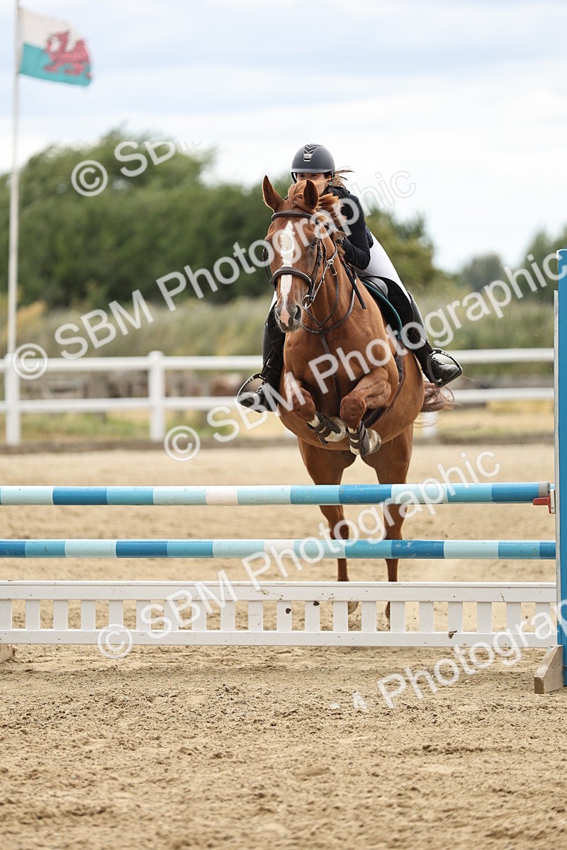 SBM_005829 - 90/100cm showjumping