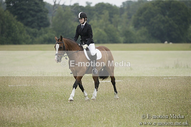 B230619-0661 - Bourne Valley Riding Club Summer Show 23/06/19