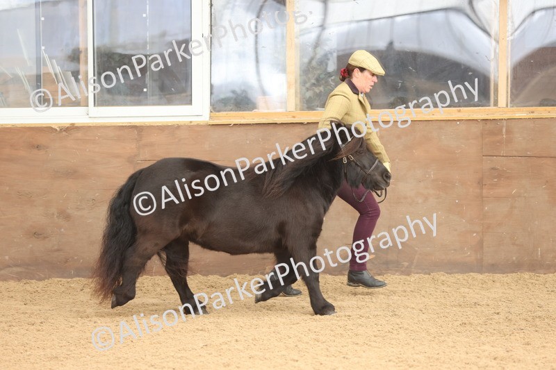 20251109-0098 - Class 5 - Mares 4 Years and over